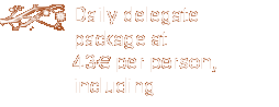 Daily delegate package, including
